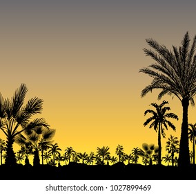 Vector card with realistic palm trees silhouette on tropical grunge sunset or sunrise background