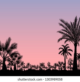 Vector card with realistic palm trees silhouette on tropical grunge pink sunset or sunrise background