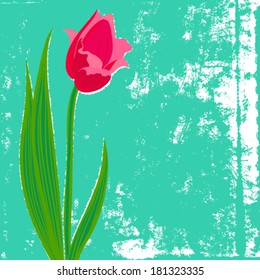 Vector card with red tulip on textured background. 