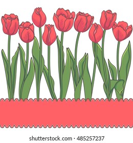 Vector card with red tulips and place for an inscription. Isolated objects. 