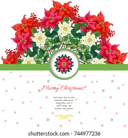 Vector card. Round pattern with branches of poinsettia and hellebore flowers. Winter ornament. Place for your text.