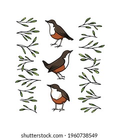 Vector card with a row of hand drawn sweet birds in green leafy borders made with ink. Perfect animal design elements