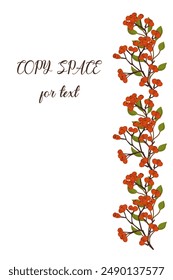 Tarjeta de Vector con ramas rowan. Lugar para el texto. Estampado floral para tarjetas de felicitación, portadas e invitaciones.