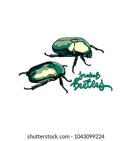 Vector card with scarab beetles and hand drawn inscription on white background.