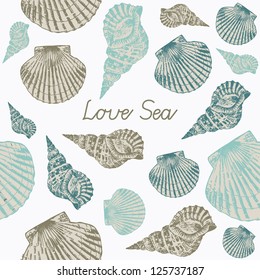 Vector card with Sea Shells