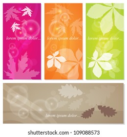 Vector card set with floral ornament design