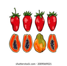 Vector card with set of hand drawn open ripe papaya with black seeds and juicy strawberries. Beautiful healthy food design elements, summer fruit illustration. Ink drawing, graphic style