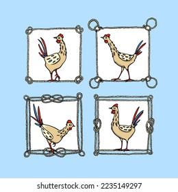 Vector card with a set of hand drawn cute chickens in nautical rope frames. Beautiful ink drawing, heavy contour, graphic style. Perfect elements for food or farming logo design.