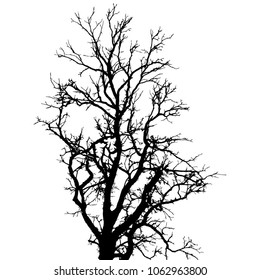 Vector card with space for text. Traced silhouette of the tree on white background.