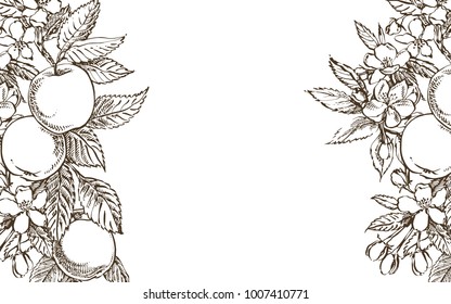 Vector card spring. Black and white blooming branches of apple tree.