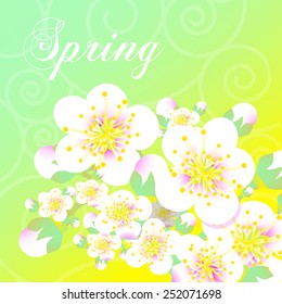 Vector card with stylized cherry (apricot) blossom and text Spring.