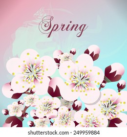Vector card with stylized cherry blossom and text Spring.