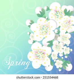 Vector card with stylized cherry blossom and text Spring.