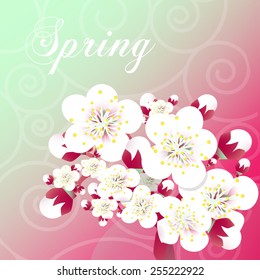 Vector card with stylized cherry blossom and text Spring.