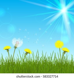 Vector card with stylized dandelion and grass, pattern can be used for wallpaper. Vintage illustration with blue background and sun.