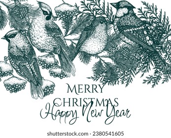 Vector card template with birds in the winter forest. Waxwings, robin and blue jay in engraving style