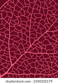 vector card, template ,poster, notebook , cover design invitation card  