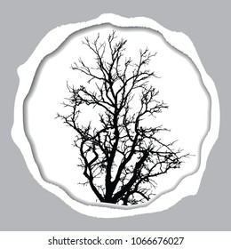 Vector card in torn paper style with tree silhouette.