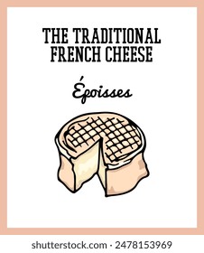 Vector card with a traditional French cow's milk soft cheese Epoisses. Freehand ink drawing, graphic style. Beautiful food design elements. 