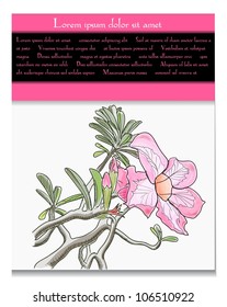 Vector card with tropical flower. EPS10 illustration