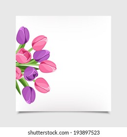 Vector card with tulip flowers. Eps-10.