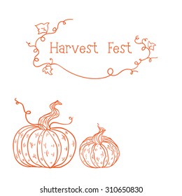 Vector card with two orange sketched pumpkins. can be used as harvest fest card. 