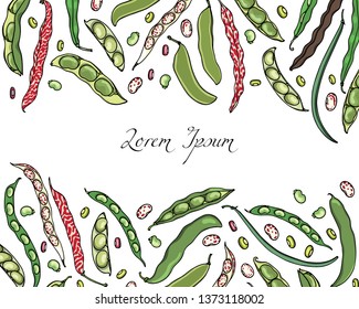 Vector card with variety of hand drawn bean pods. Beautiful food design elements, ink drawing. Visual chart of bean types.