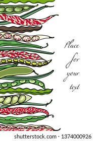 Vector card with variety of hand drawn bean pods. Beautiful food design elements, ink drawing. Visual chart of bean types.