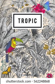 Vector card vintage. Exotic flowers, palm, bird, butterfly. Botanical classic illustration. Black and white and color