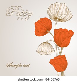 Vector card with vintage poppies.