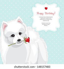 Vector card. White Spitz holds a rose. Figured frame, simple seamless background with polka dots. Beautiful hand-lettering - Happy birthday and heart.