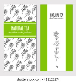 Vector cards, banners with hand drawn Thyme branch, leaf, flower isolated on white, spicy herb, Healing herb, doodle, sketch, Vector seamless pattern,Perfect for cosmetic, tea and other design package