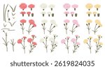 Vector of carnations flower. You can edit compositions and color from EPS file.