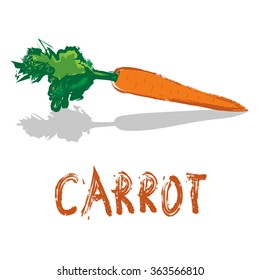 Vector carrot in abstract drawn style - Healthy food