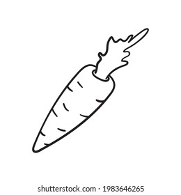 Vektorkarottensymbol im Doodle-Stil. Gemüsemaschine einzeln. 