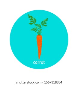 Vector carrot icon isolated on white background.  Flat blue circle icon with vegetable. Healthy food. 
