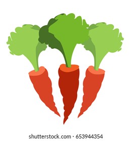 Vector Carrot icon isolated on white background