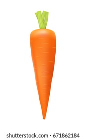 Vector carrot illustration. Isolated illustration of carrots. Realistic carrots