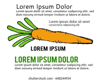 Vector carrot illustration on white background. Carrot illustration.