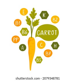 Vector carrot isolated on white background. Vitamins and minerals. Health benefits of carrot. 