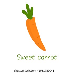 Vector carrot on white background . Isolated object for graphic design