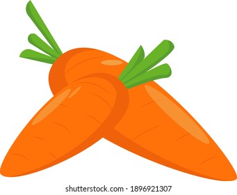 Vector carrot. Vegetable illustration for farm market menu. Healthy food design