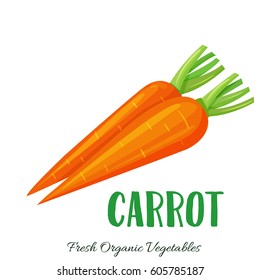 Vector carrot . Vegetable illustration for farm market menu. Healthy food design