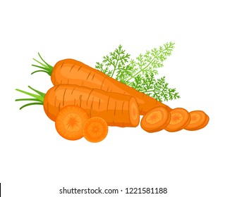 Vector carrot. Whole and sliced vegetable. The composition of the roots.