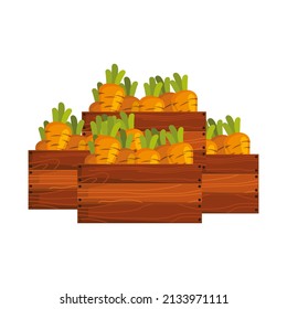 vector carrot in a wooden box