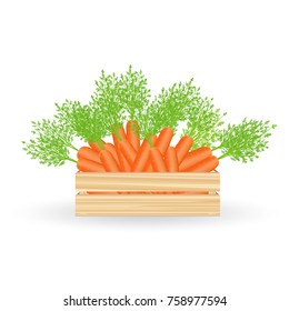 Vector Carrot in wooden box