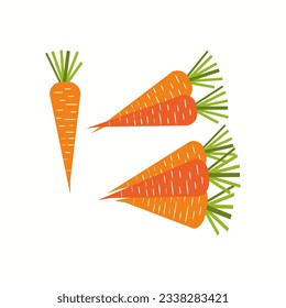 Vector carrots. Collection of fresh carrots Vector illustration