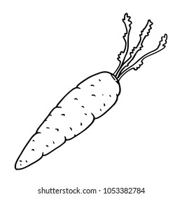 Vector of carrots. Hand drawn carrot.
