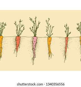 Vector carrots hand drawn illustration, seamless border with funny vegetables