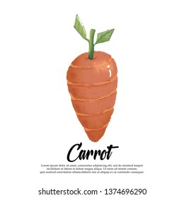 Vector carrots on white background.